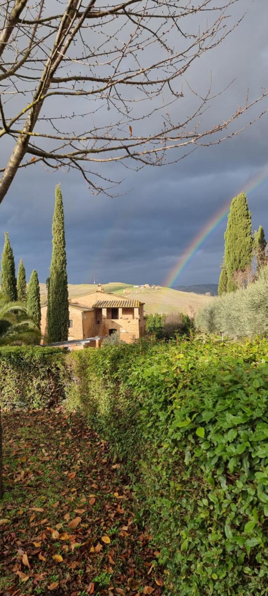 Agriturismo S. Eurosia Montalcino Zimmer foto